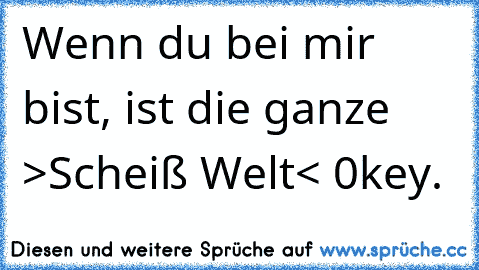 Wenn du bei mir bist, ist die ganze >Scheiß Welt< 0key. ♥