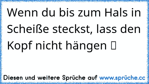 Wenn du bis zum Hals in Scheiße steckst, lass den Kopf nicht hängen ツ