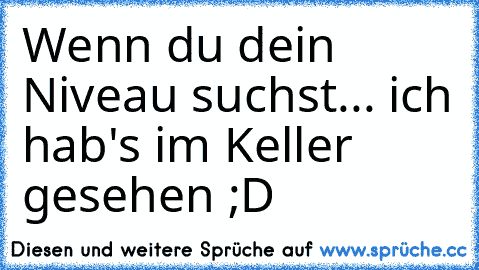 Wenn du dein Niveau suchst... ich hab's im Keller gesehen ;D