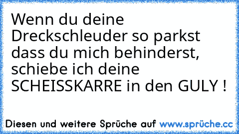 Wenn du deine Dreckschleuder so parkst dass du mich behinderst, schiebe ich deine SCHEISSKARRE in den GULY !