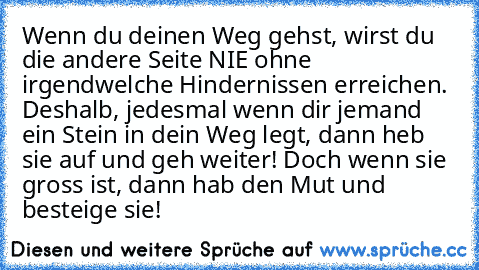 Wenn du deinen Weg gehst, wirst du die andere Seite NIE ohne irgendwelche Hindernissen erreichen. Deshalb, jedesmal wenn dir jemand ein Stein in dein Weg legt, dann heb sie auf und geh weiter! Doch wenn sie gross ist, dann hab den Mut und besteige sie!