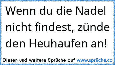 Wenn du die Nadel nicht findest, zünde den Heuhaufen an!