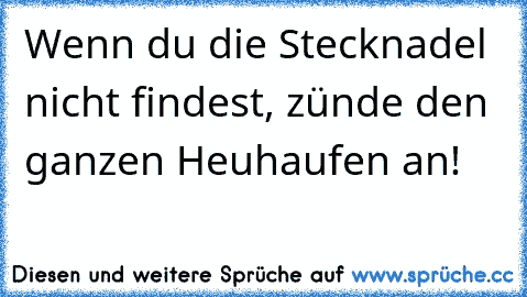 Wenn du die Stecknadel nicht findest, zünde den ganzen Heuhaufen an!