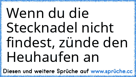 Wenn du die Stecknadel nicht findest, zünde den Heuhaufen an