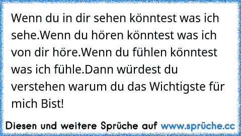 Wenn du in dir sehen könntest was ich sehe.
Wenn du hören könntest was ich von dir höre.
Wenn du fühlen könntest was ich fühle.
Dann würdest du verstehen warum du das Wichtigste für mich Bist!