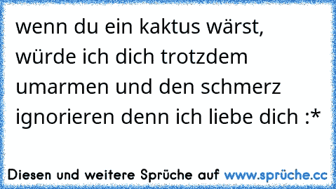 wenn du ein kaktus wärst, würde ich dich trotzdem umarmen und den schmerz ignorieren denn ich liebe dich :*