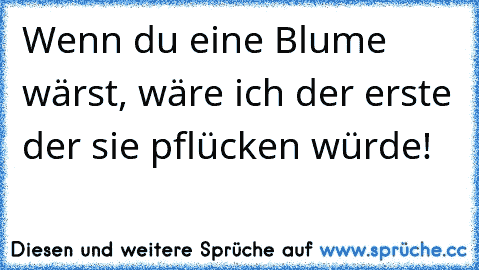 Wenn du eine Blume wärst, wäre ich der erste der sie pflücken würde! ♥