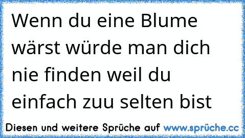 Wenn du eine Blume wärst würde man dich nie finden weil du einfach zuu selten bist ♥