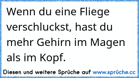 Wenn du eine Fliege verschluckst, hast du mehr Gehirn im Magen als im Kopf.