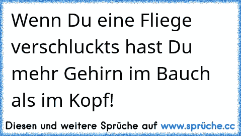 Wenn Du eine Fliege verschluckts hast Du mehr Gehirn im Bauch als im Kopf!