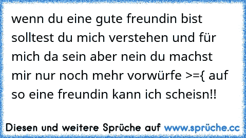 wenn du eine gute freundin bist solltest du mich verstehen und für mich da sein aber nein du machst mir nur noch mehr vorwürfe >={ auf so eine freundin kann ich scheisn!!