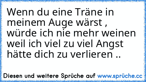 Wenn du eine Träne in meinem Auge wärst , würde ich nie mehr weinen weil ich viel zu viel Angst hätte dich zu verlieren ..