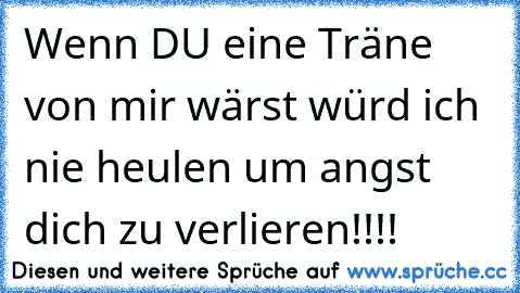 Wenn DU eine Träne von mir wärst würd ich nie heulen um angst dich zu verlieren!!!! ♥ ♥ ♥