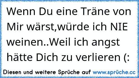 Wenn Du eine Träne von Mir wärst,würde ich NIE weinen..Weil ich angst hätte Dich zu verlieren (:♥