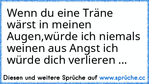 Wenn du eine Träne wärst in meinen Augen,würde ich niemals weinen aus Angst ich  würde dich verlieren ... ♥