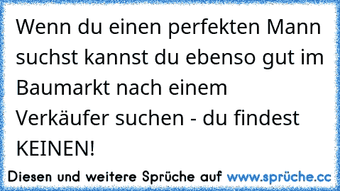 Wenn du einen perfekten Mann suchst kannst du ebenso gut im Baumarkt nach einem Verkäufer suchen - du findest KEINEN!