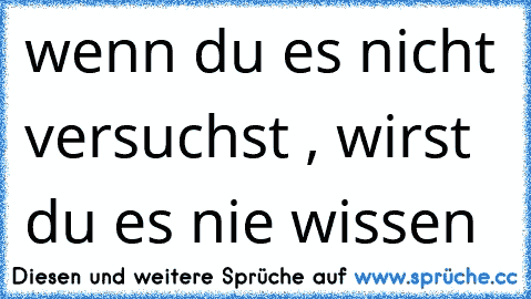 wenn du es nicht versuchst , wirst du es nie wissen