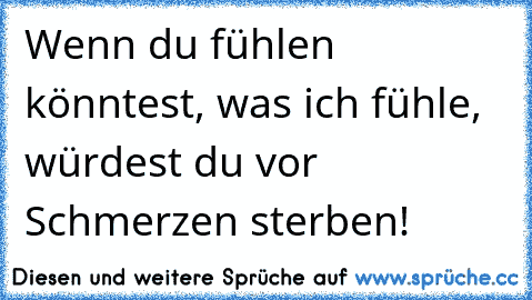 Wenn du fühlen könntest, was ich fühle, würdest du vor Schmerzen sterben!