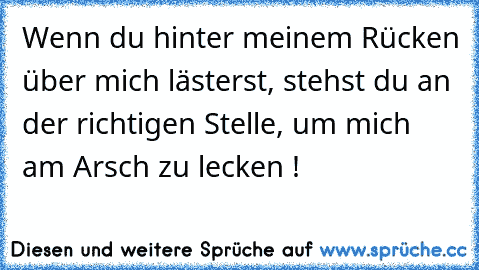 Wenn du hinter meinem Rücken über mich lästerst, stehst du an der richtigen Stelle, um mich am Arsch zu lecken !