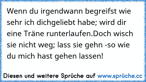 Wenn du irgendwann begreifst wie sehr ich dich
geliebt habe; wird dir eine Träne runterlaufen.
Doch wisch sie nicht weg; lass sie gehn -
so wie du mich hast gehen lassen!