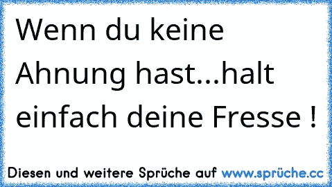 Wenn du keine Ahnung hast...halt einfach deine Fresse !