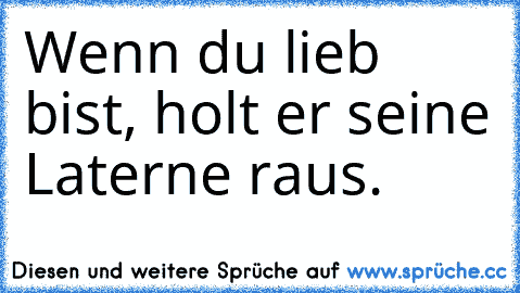 Wenn du lieb bist, holt er seine Laterne raus. ♥