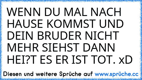 WENN DU MAL NACH HAUSE KOMMST UND DEIN BRUDER NICHT MEHR SIEHST DANN HEI?T ES ER IST TOT. xD