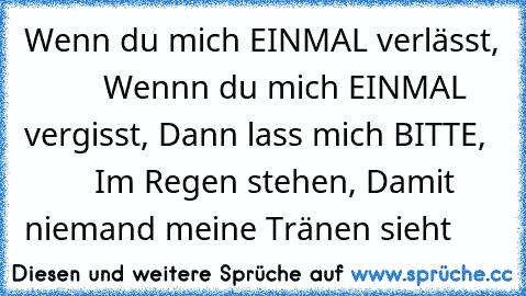 Wenn du mich EINMAL verlässt,
          Wennn du mich EINMAL vergisst,
 Dann lass mich BITTE,
          Im Regen stehen,
 Damit niemand meine Tränen sieht ♥