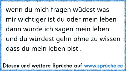 wenn du mich fragen wüdest was mir wichtiger ist du oder mein leben dann würde ich sagen mein leben und du würdest gehn ohne zu wissen dass du mein leben bist .♥