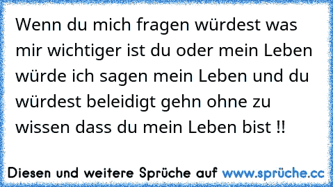 Wenn du mich fragen würdest was mir wichtiger ist du oder mein Leben würde ich sagen mein Leben und du würdest beleidigt gehn ohne zu wissen dass du mein Leben bist !!