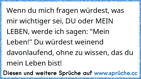 Wenn du mich fragen würdest, was mir wichtiger sei, DU oder MEIN LEBEN, werde ich sagen: "Mein Leben!" Du würdest weinend davonlaufend, ohne zu wissen, das du mein Leben bist!