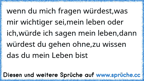 wenn du mich fragen würdest,
was mir wichtiger sei,
mein leben oder ich,
würde ich sagen mein leben,
dann würdest du gehen ohne,
zu wissen das du mein Leben bist