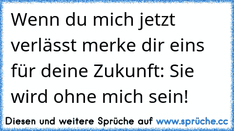 Wenn du mich jetzt verlässt merke dir eins für deine Zukunft: Sie wird ohne mich sein!