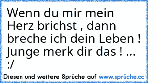 Wenn du mir mein Herz brichst , dann breche ich dein Leben ! Junge merk dir das ! ... :/