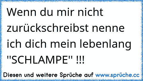 Wenn du mir nicht zurückschreibst nenne ich dich mein lebenlang ''SCHLAMPE'' !!!