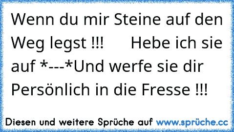 Wenn du mir Steine auf den Weg legst !!!
      Hebe ich sie auf *---*
Und werfe sie dir Persönlich in die Fresse !!!