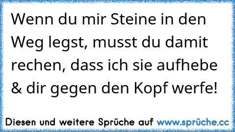 Wenn du mir Steine in den Weg legst, musst du damit rechen, dass ich sie aufhebe & dir gegen den Kopf werfe!