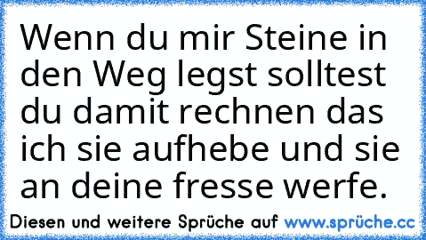 Wenn du mir Steine in den Weg legst solltest du damit rechnen das ich sie aufhebe und sie an deine fresse werfe.