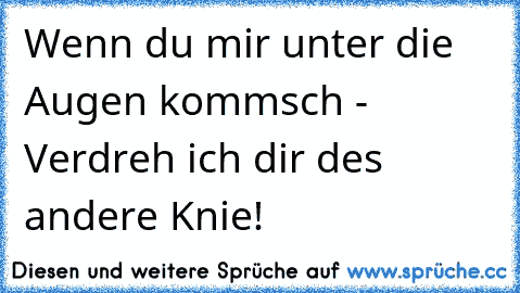 Wenn du mir unter die Augen kommsch - Verdreh ich dir des andere Knie!