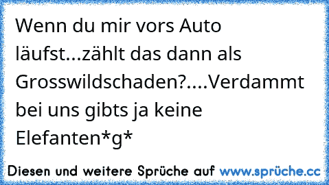 Wenn du mir vors Auto läufst...zählt das dann als Grosswildschaden?....Verdammt bei uns gibts ja keine Elefanten*g*