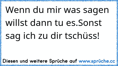 Wenn du mir was sagen willst dann tu es.Sonst sag ich zu dir tschüss!