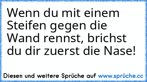 Wenn du mit einem Steifen gegen die Wand rennst, brichst du dir zuerst die Nase!