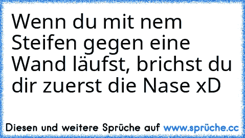 Wenn du mit nem Steifen gegen eine Wand läufst, brichst du dir zuerst die Nase xD