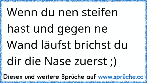 Wenn du nen steifen hast und gegen ne Wand läufst brichst du dir die Nase zuerst ;)