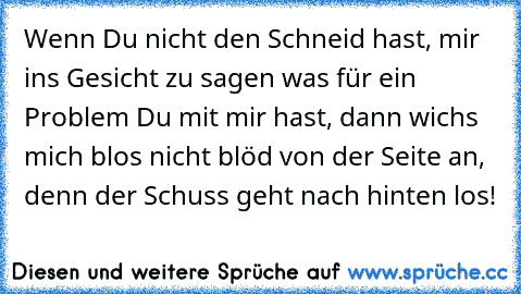 Wenn Du nicht den Schneid hast, mir ins Gesicht zu sagen was für ein Problem Du mit mir hast, dann wichs mich blos nicht blöd von der Seite an, denn der Schuss geht nach hinten los!