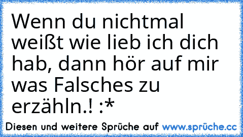 Wenn du nichtmal weißt wie lieb ich dich hab, dann hör auf mir was Falsches zu erzähln.! :*