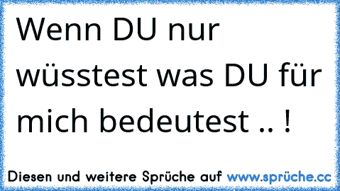 Wenn DU nur wüsstest was DU für mich bedeutest .. ! ♥