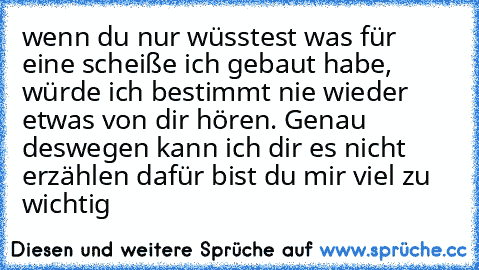 wenn du nur wüsstest was für eine scheiße ich gebaut habe, würde ich bestimmt nie wieder etwas von dir hören. Genau deswegen kann ich dir es nicht erzählen dafür bist du mir viel zu wichtig ♥