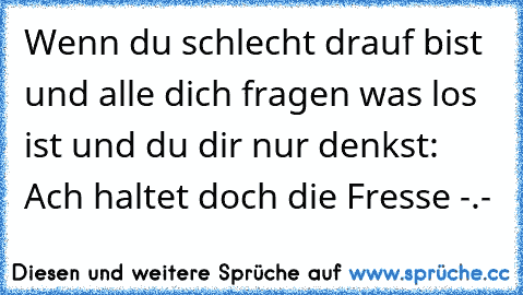 Wenn du schlecht drauf bist und alle dich fragen was los ist und du dir nur denkst: Ach haltet doch die Fresse -.-