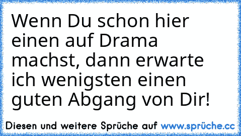 Wenn Du schon hier einen auf Drama machst, dann erwarte ich wenigsten einen guten Abgang von Dir!